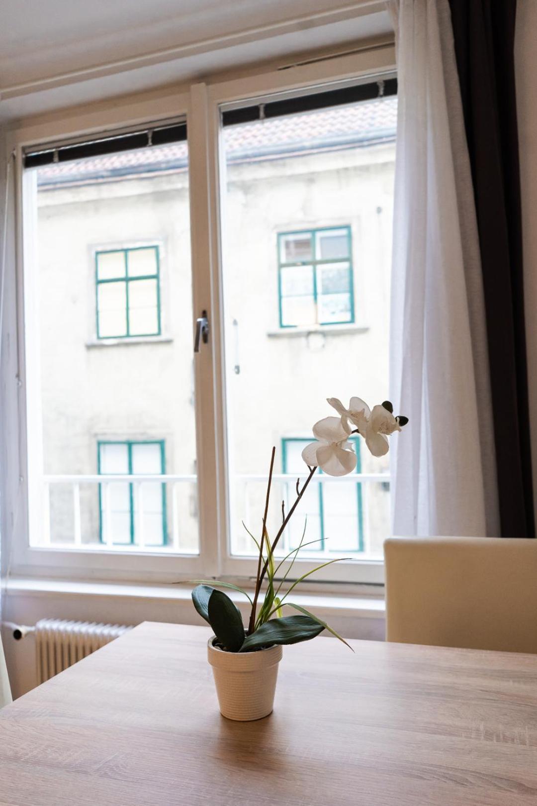 Central Living - Stephansdom Apartments Wien Rom bilde